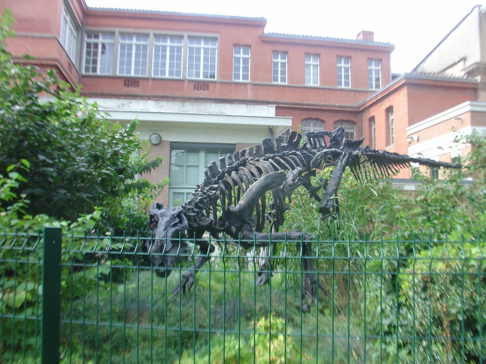Le muséum de Toulouse