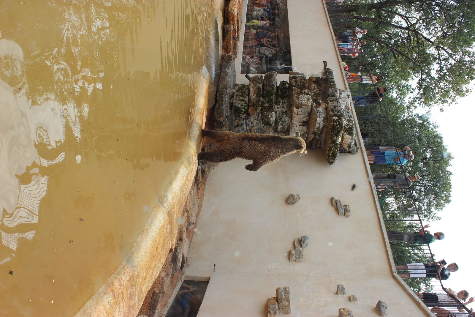 Le parc animalier de Gramat