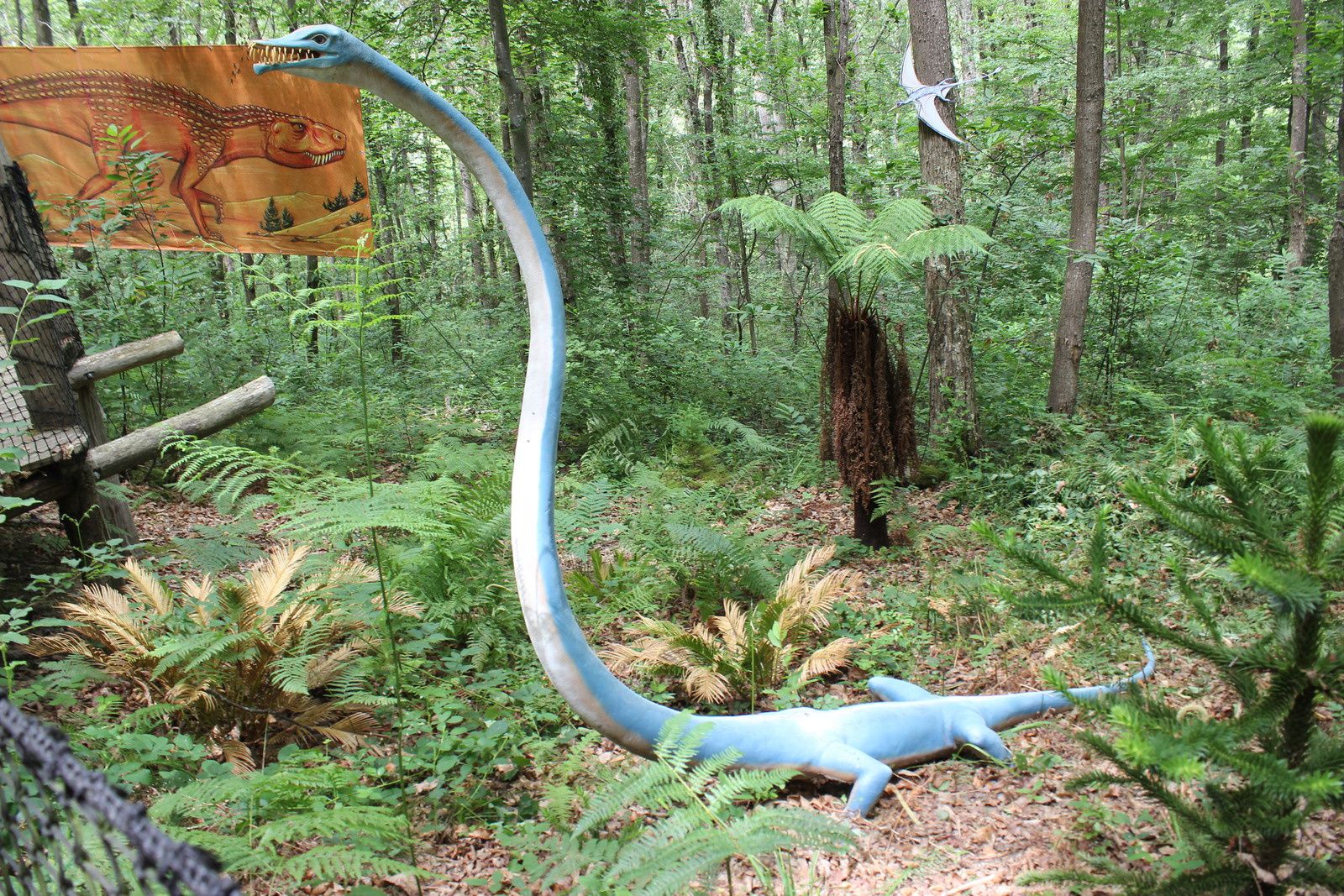Xploria la foret à explorer le temps