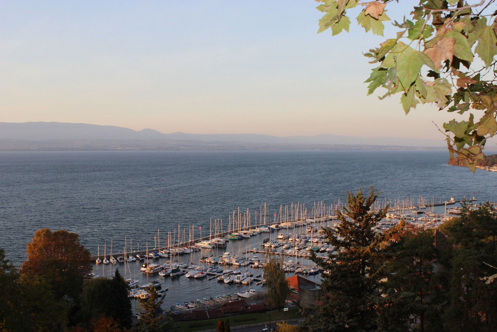 Thonon