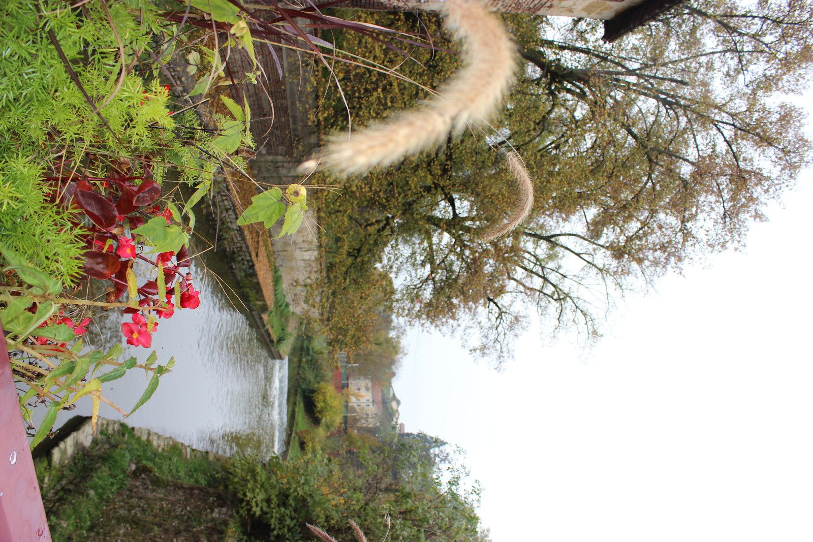 Balade à Chatillon Sur Chalaronne