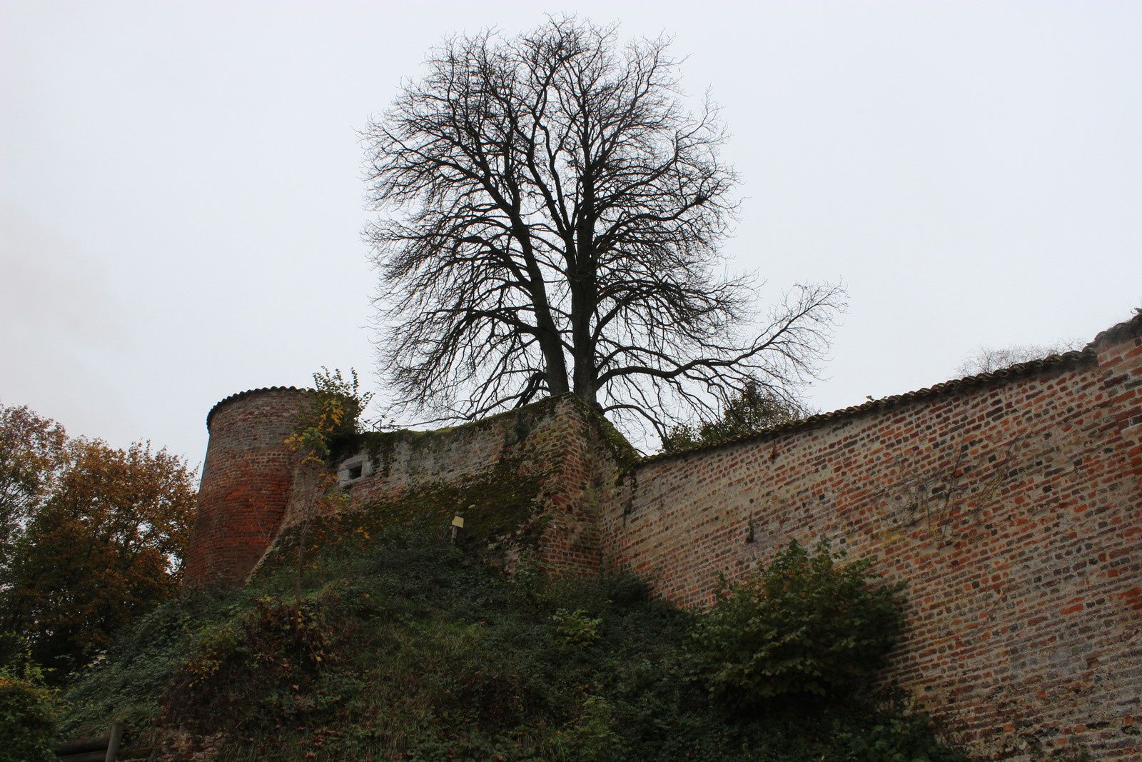 Balade à Chatillon Sur Chalaronne
