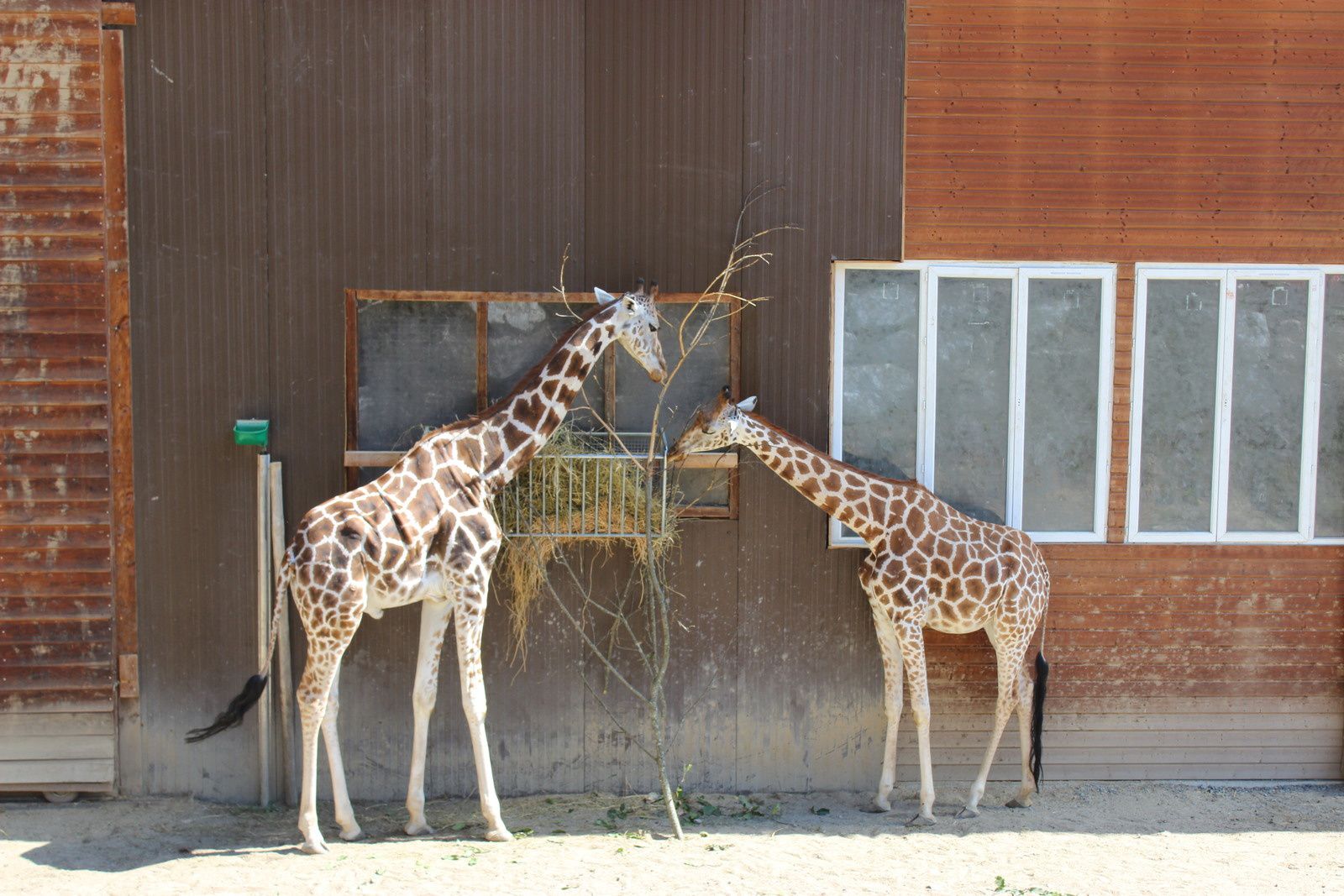 Le zoo des 3 vallées