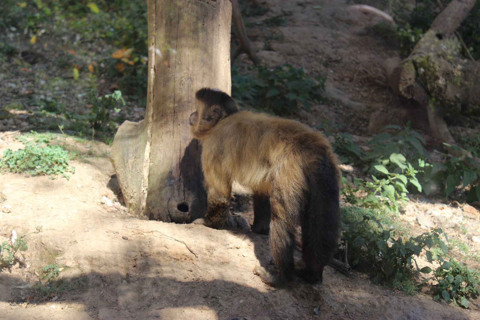 Le zoo des 3 vallées