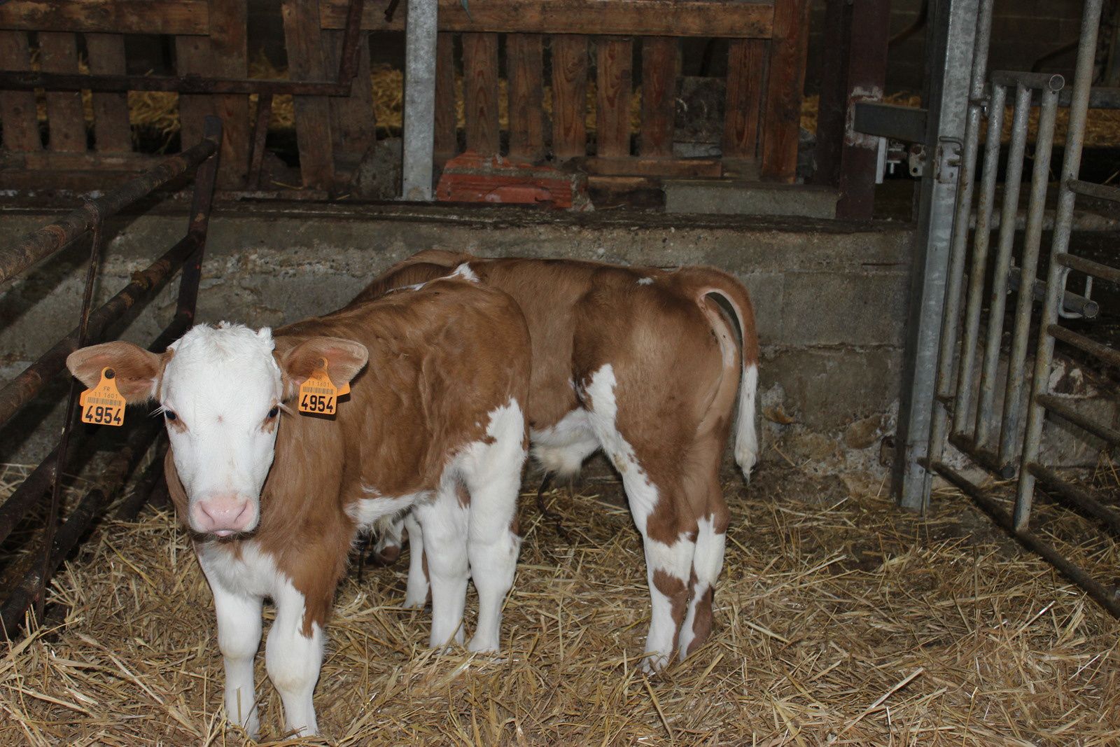 De ferme en ferme: la ferme de Briola