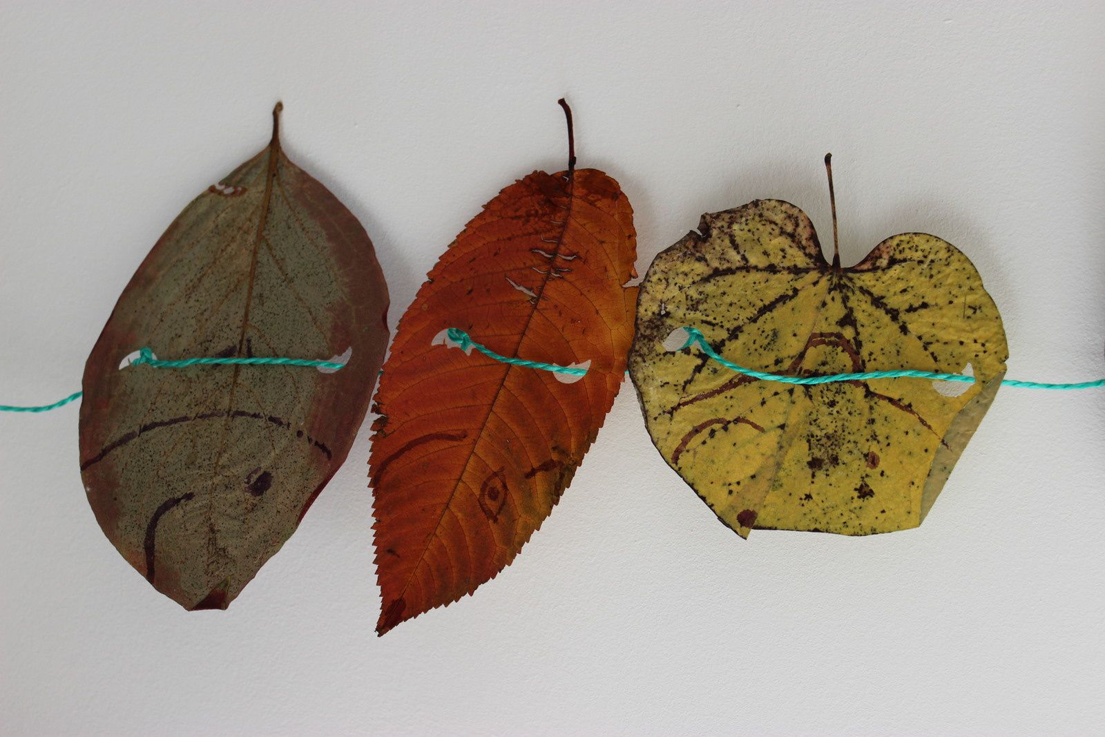 Guirlande de feuiles d'automne