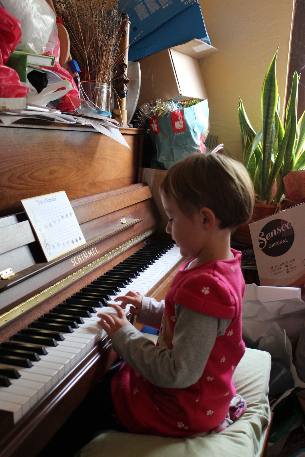 Petit intermède musical