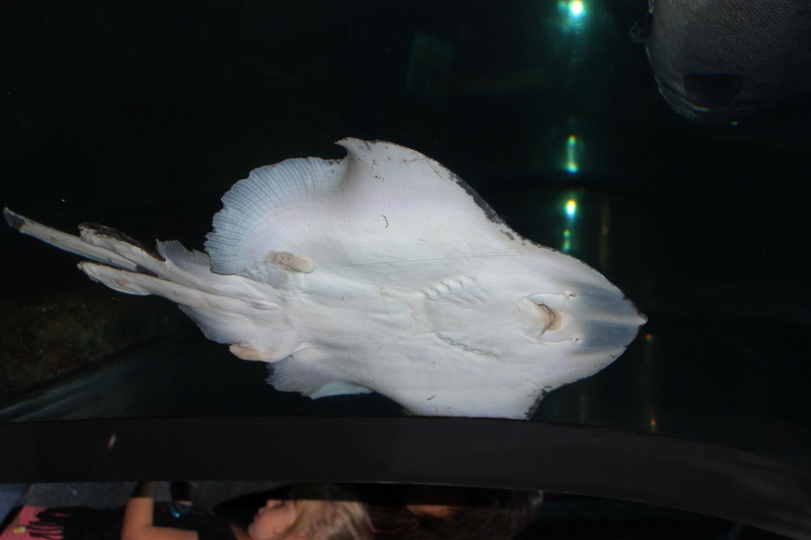 Le Croisic