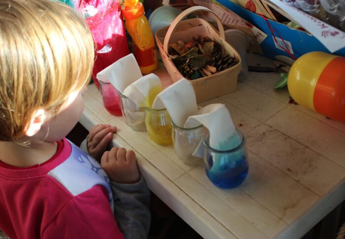 Semaine des sciences
