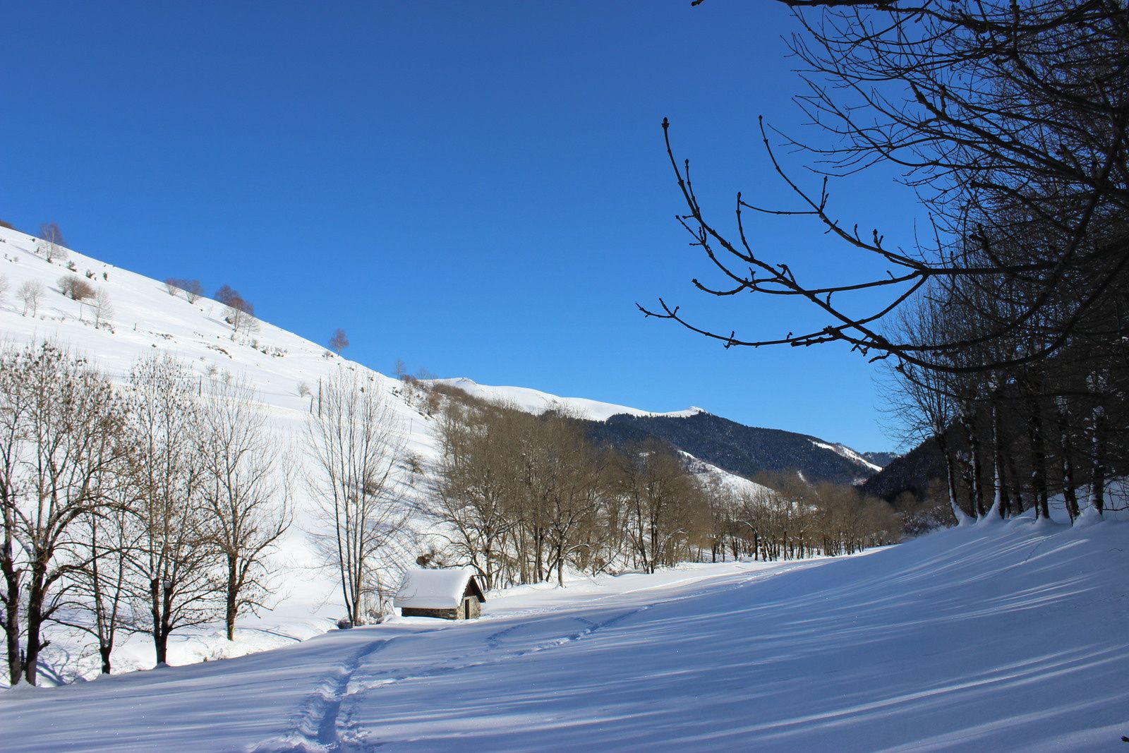 La vallée d'Oueil