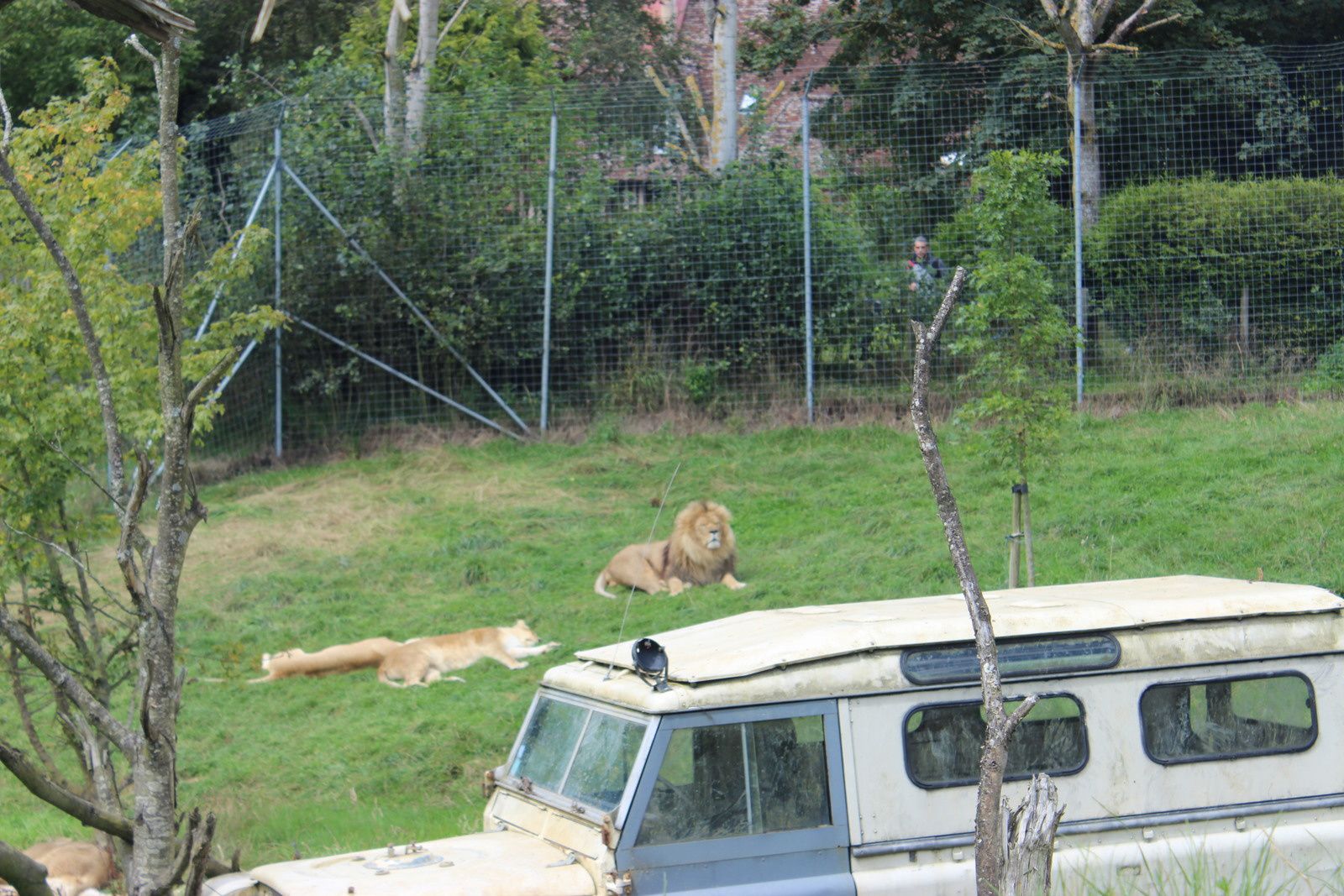 Visite au Cerza