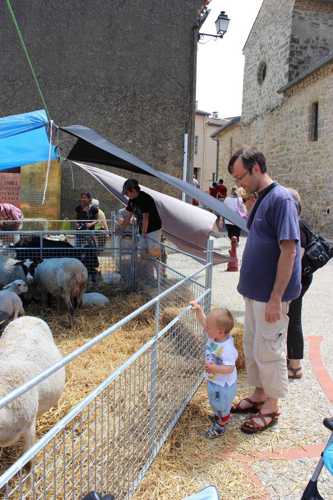 la mini ferme captive toujours les plus petits