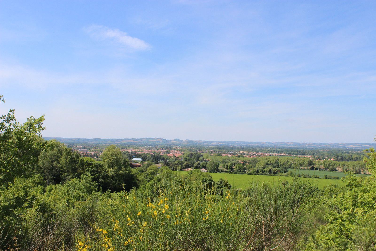 sur la montée dans les bois des scabieuses enfin je crois.
