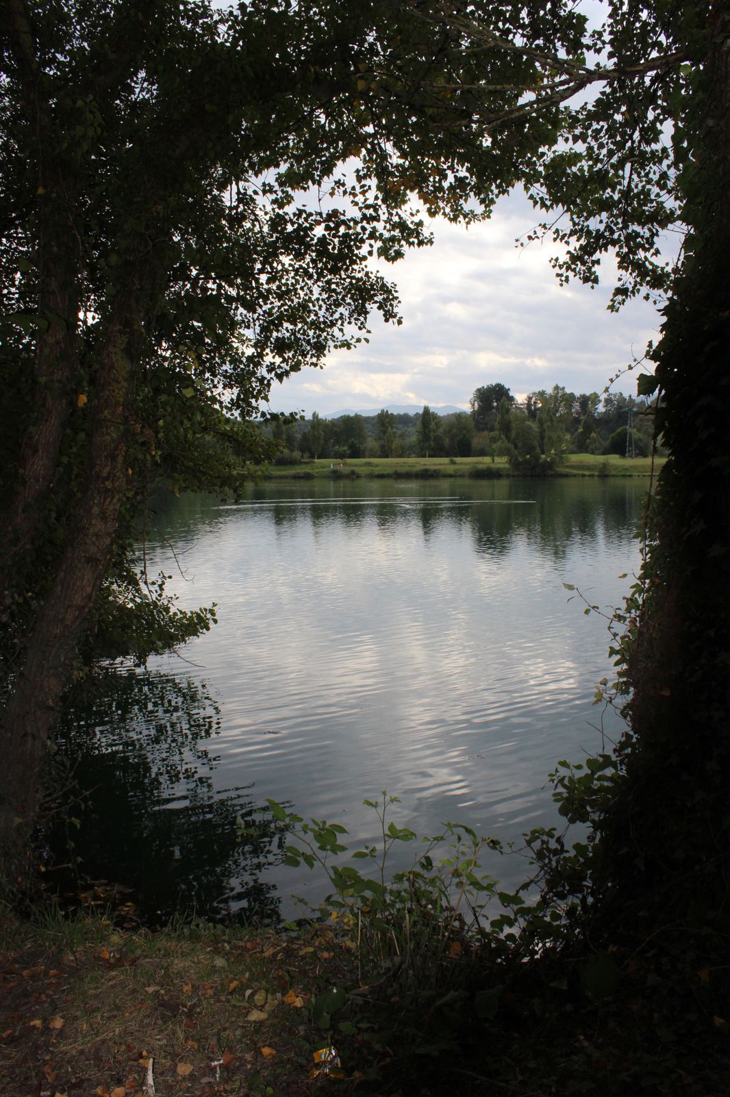 Montréjeau