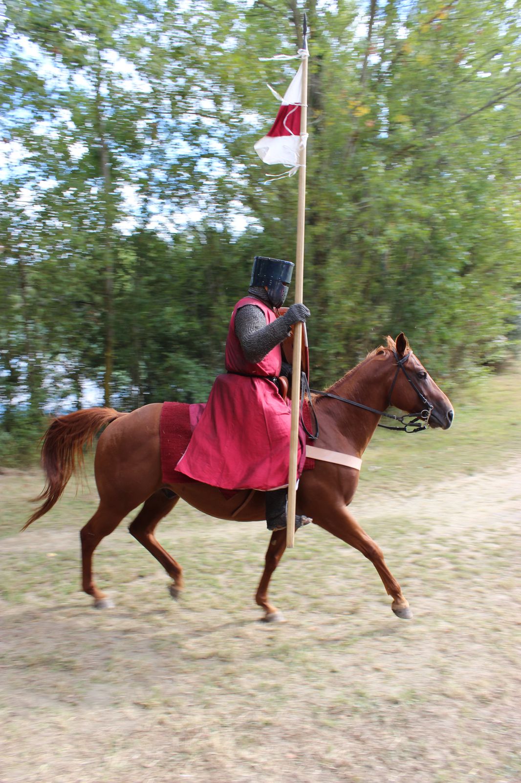 La bataille de Muret