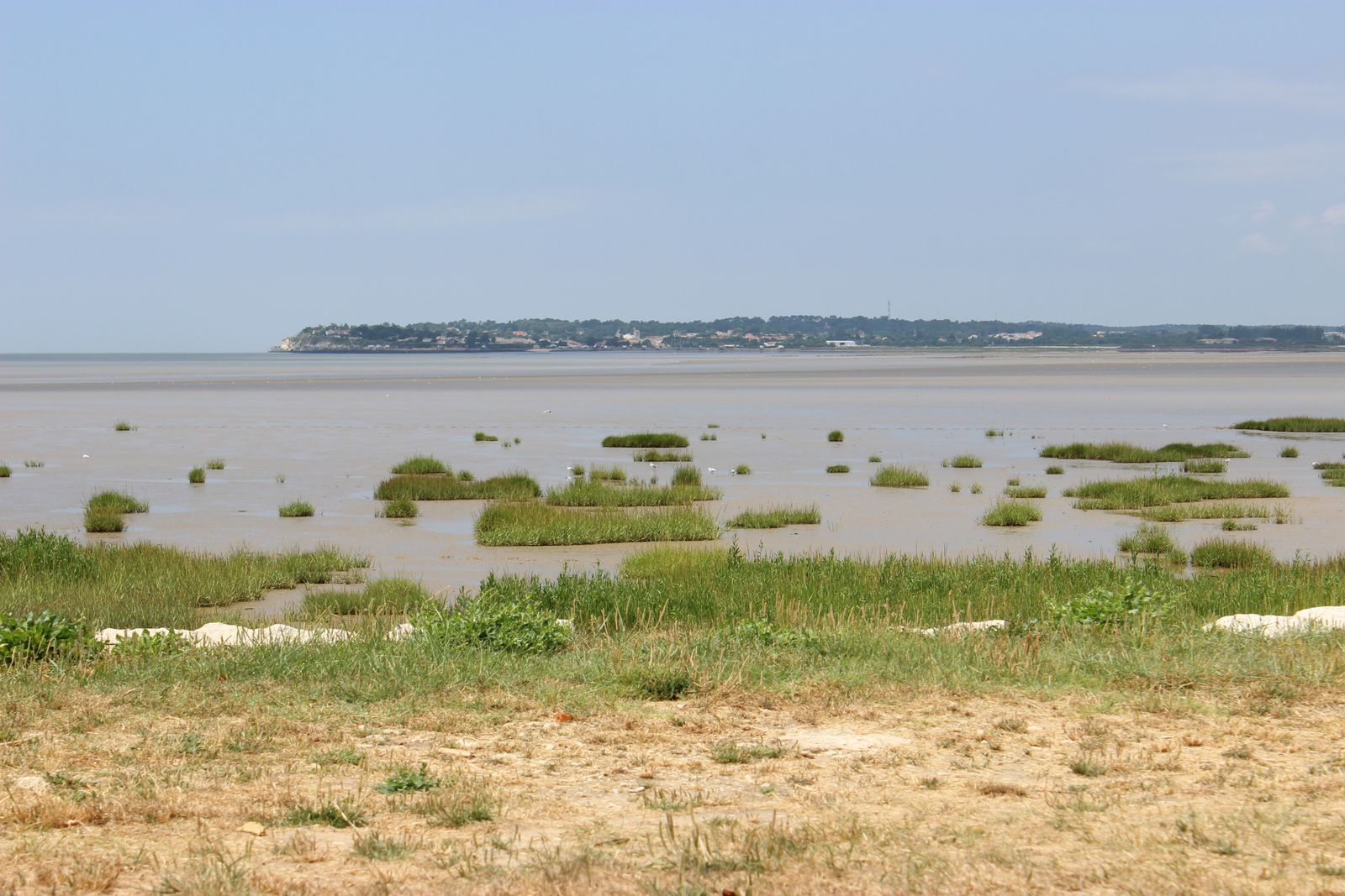 Talmont sur Gironde