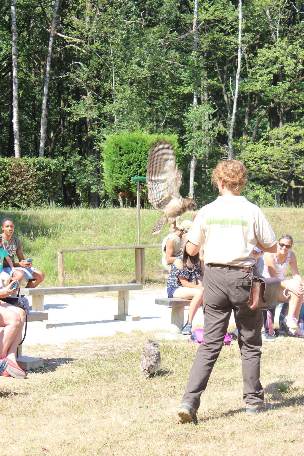 Le parc animalier de Rambouillet