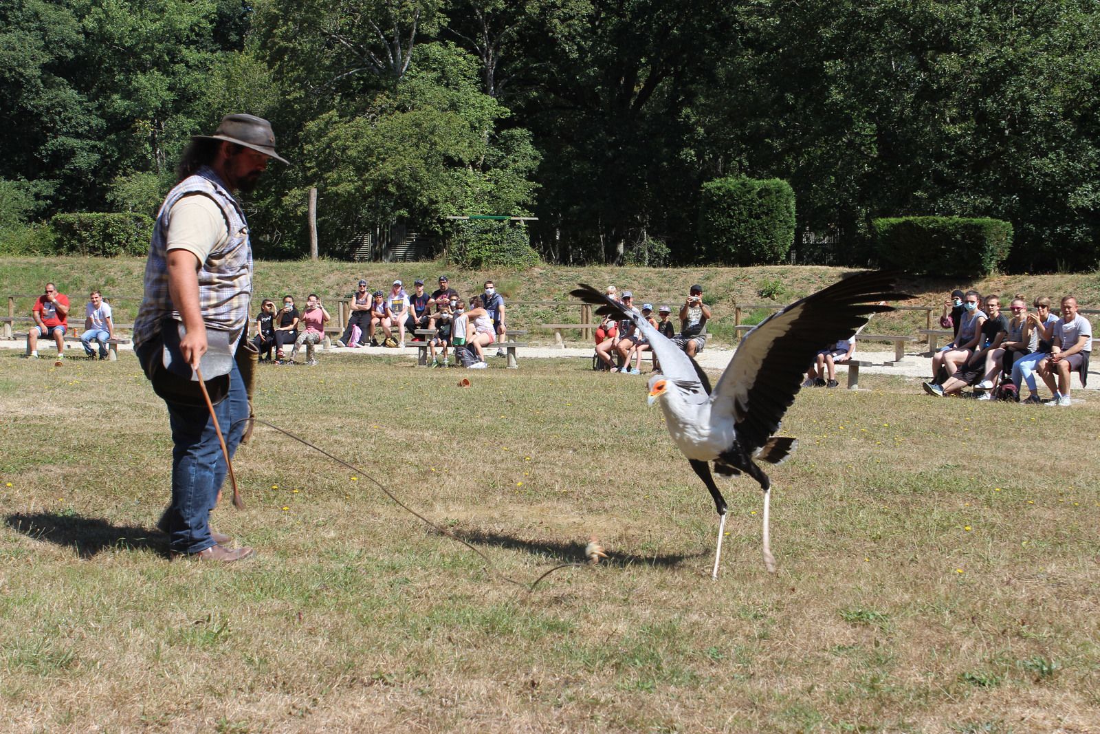 Le parc animalier de Rambouillet