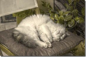 untitled_pregamma_1_mantiuk06_contrast_mapping_0.1_saturation_factor_0.14_detail_factor_1