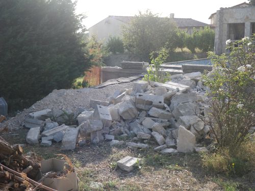 IMGP1649