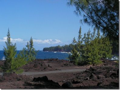 La côte sauvage