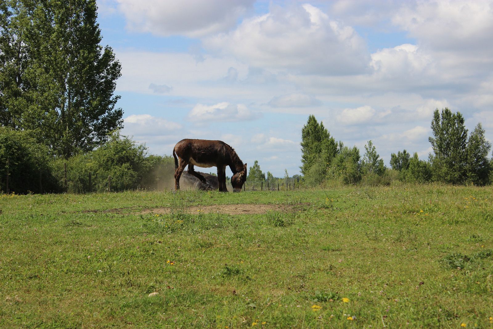 Le domaine des oiseaux de Mazères