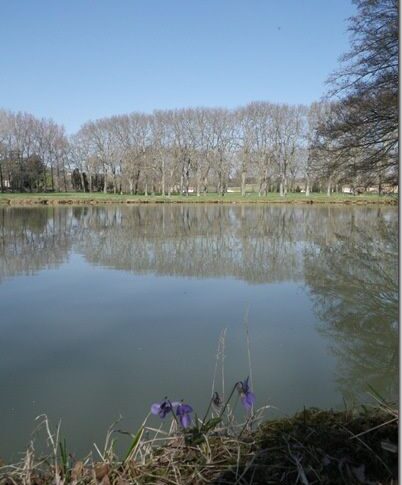 Balade à vélo sur le Canal du Midi