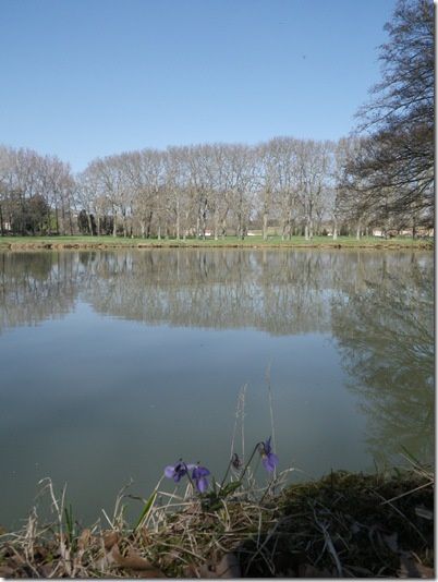 IMGP0297