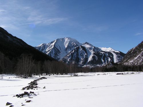 PICT0137