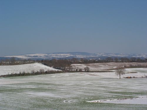 PICT0018