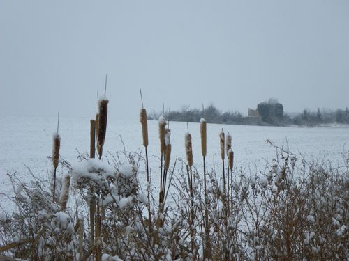 IMGP0183