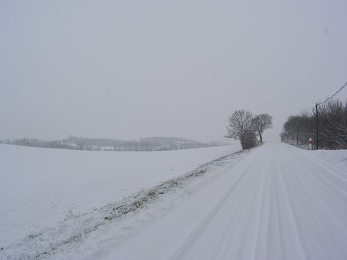 PICT0015