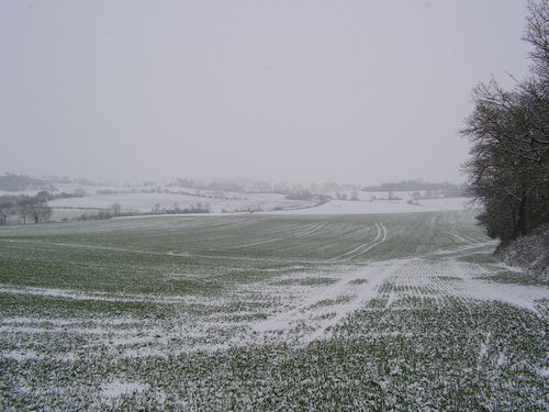 PICT0019