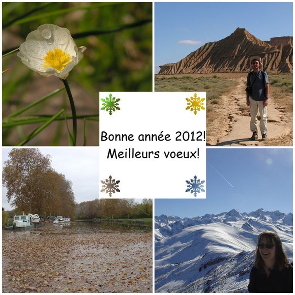 2012Voeux 3
