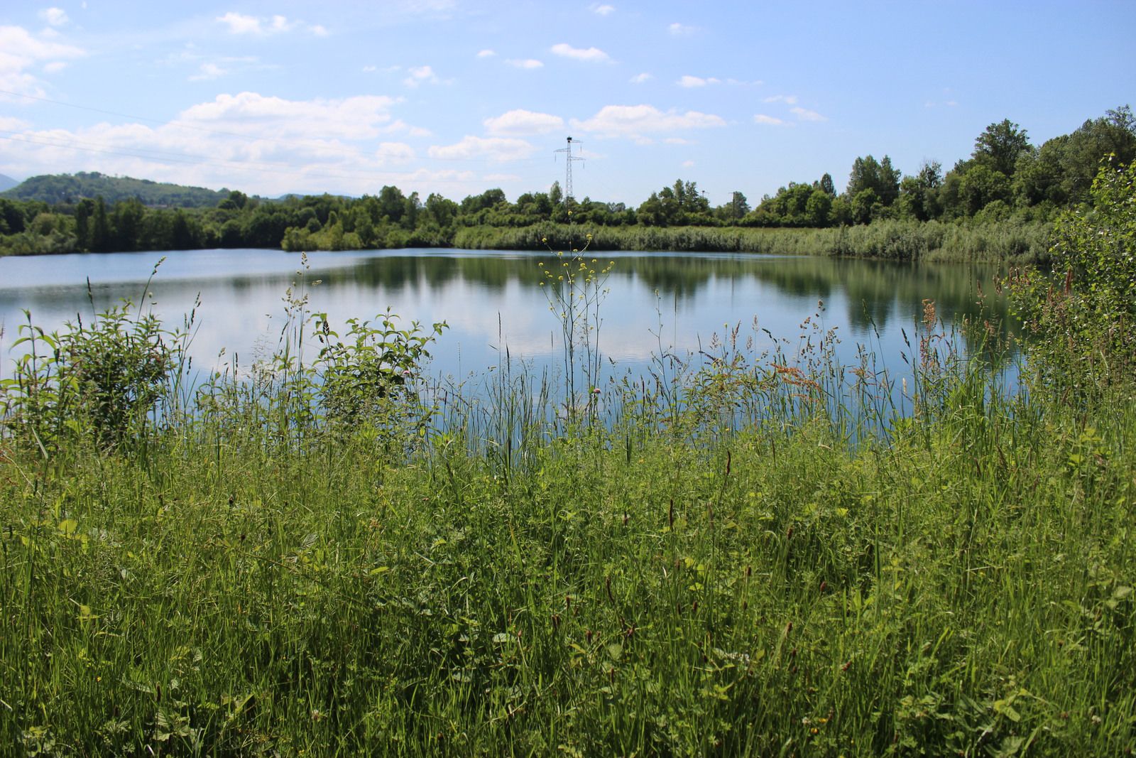 Sur les bords de la Neste