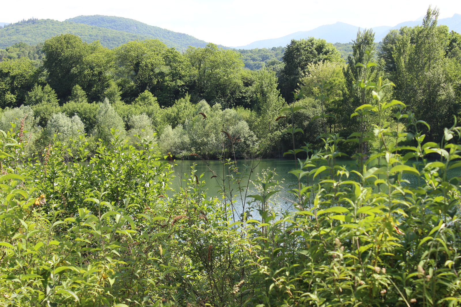 Sur les bords de la Neste