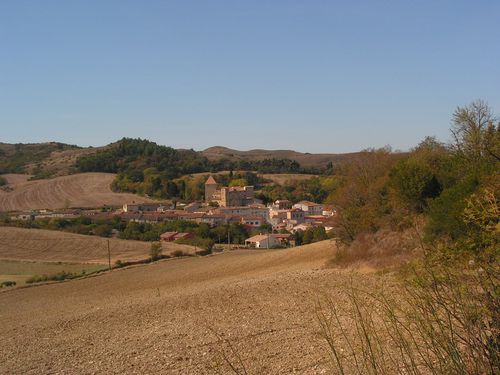 PICT0017