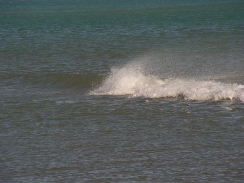 PICT0001