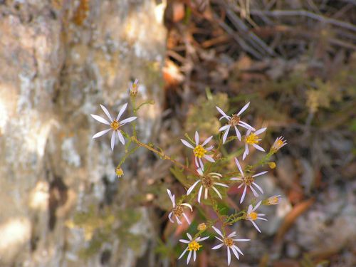 PICT0063