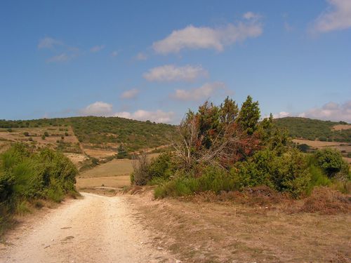 La balade du menhir à Fournes-Cabardès
