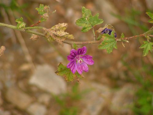 PICT0023