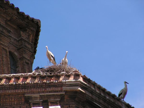 PICT0039