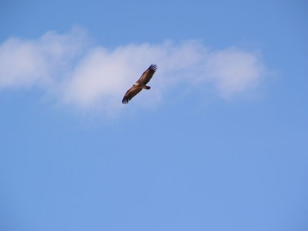 PICT0044