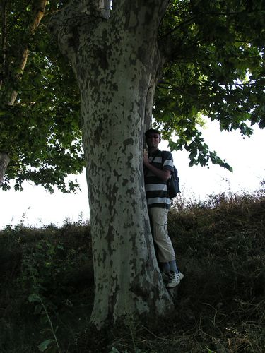 PICT0060
