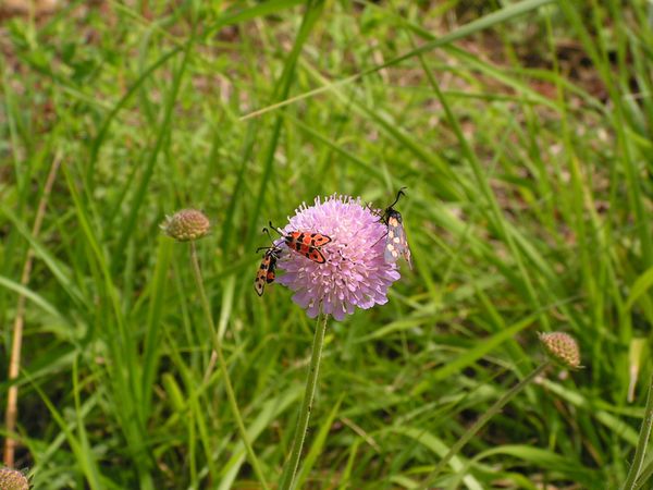 PICT0257