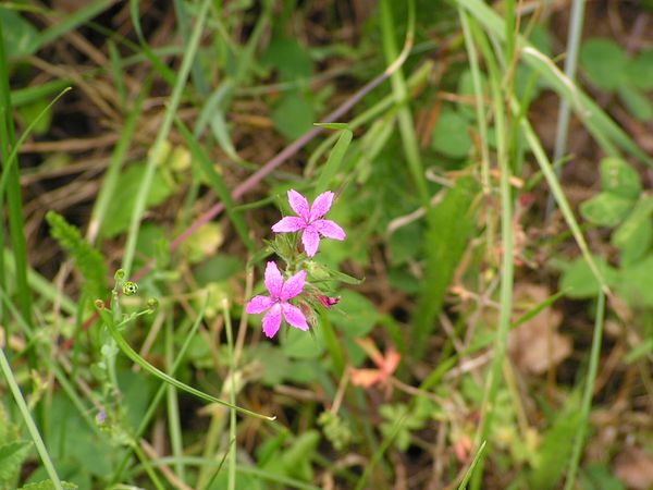PICT0235