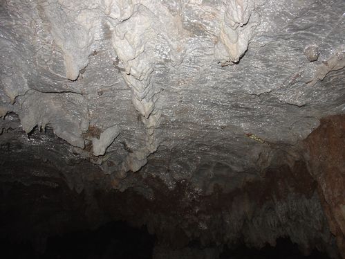DSC08119