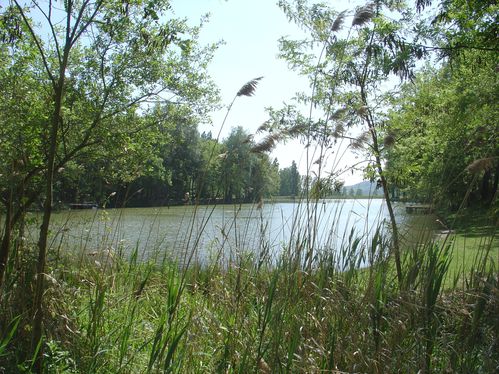 Petite balade au lac de Lenclas