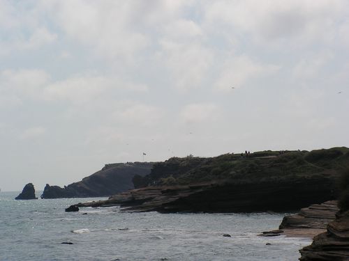 PICT0076