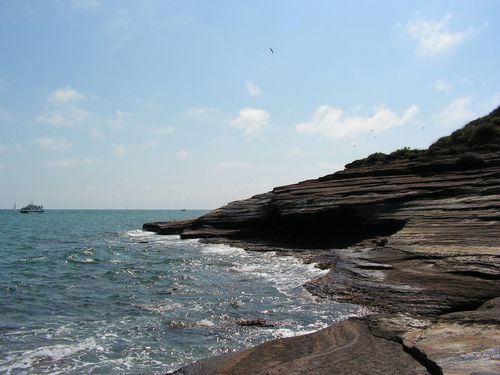 PICT0082